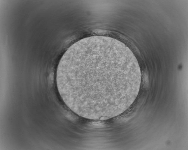 X0000116630668201001221402