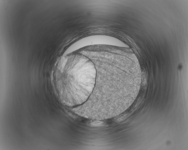 X0000116630669201001221402