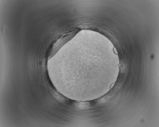 X0000116630670201001221402