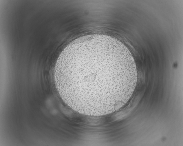 X0000116630671201001221402
