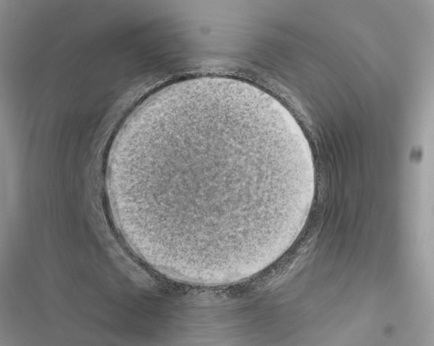 X0000116630673201001221401