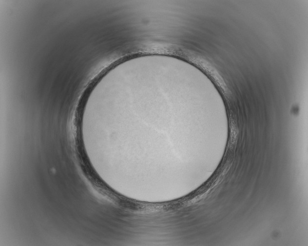 X0000116630674201001221401