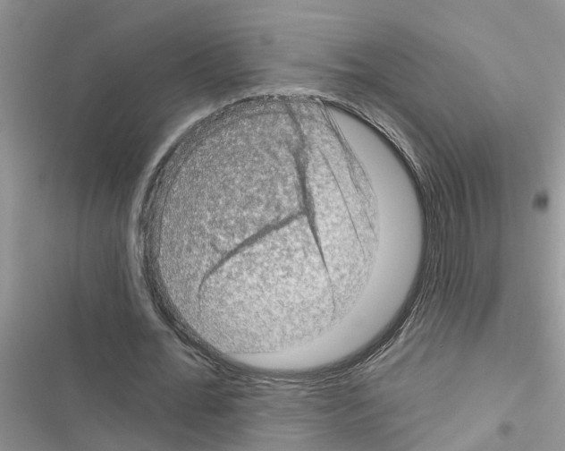 X0000116630676201001221401