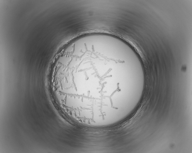 X0000116630677201001221401