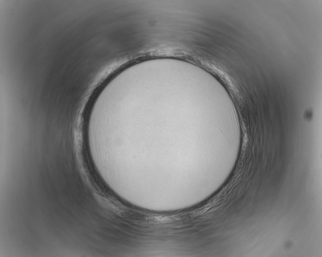 X0000116630678201001221401