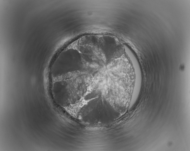 X0000116630679201001221401