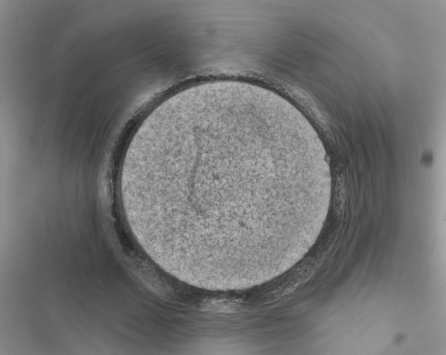 X0000116630680201001221401