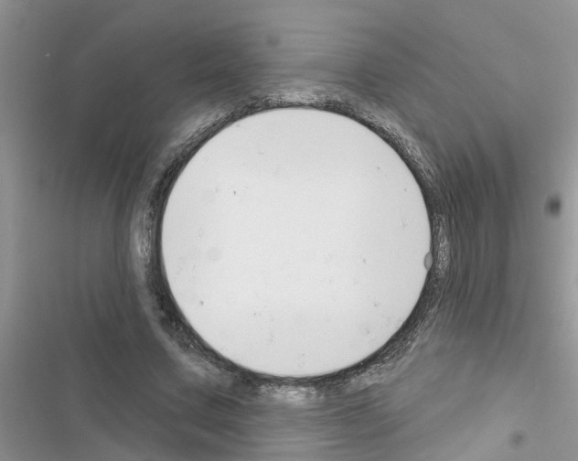 X0000116630683201001221401