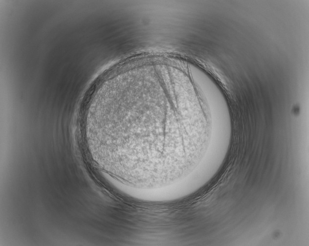 X0000116630684201001221401
