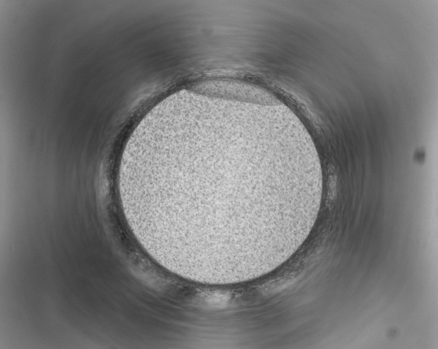 X0000116630687201001221401