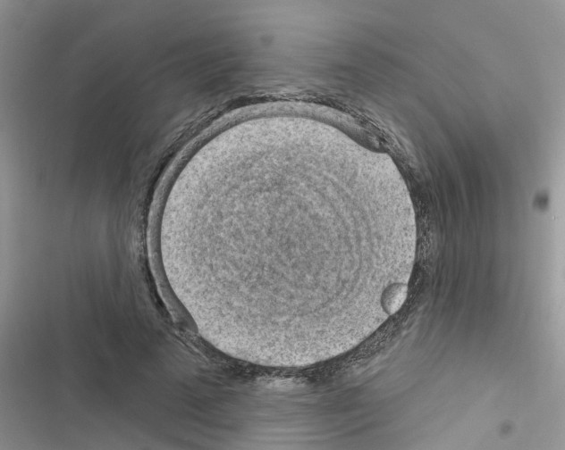 X0000116630689201001221401