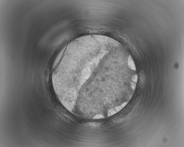 X0000116630691201001221401