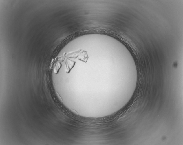X0000116630693201001221401