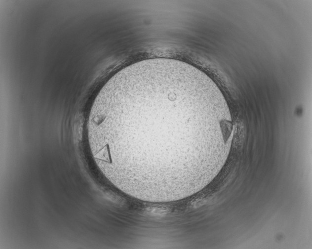 X0000116630694201001221401