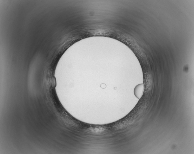 X0000116630695201001221401