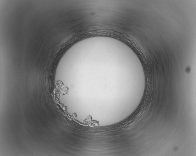 X0000116630697201001221401
