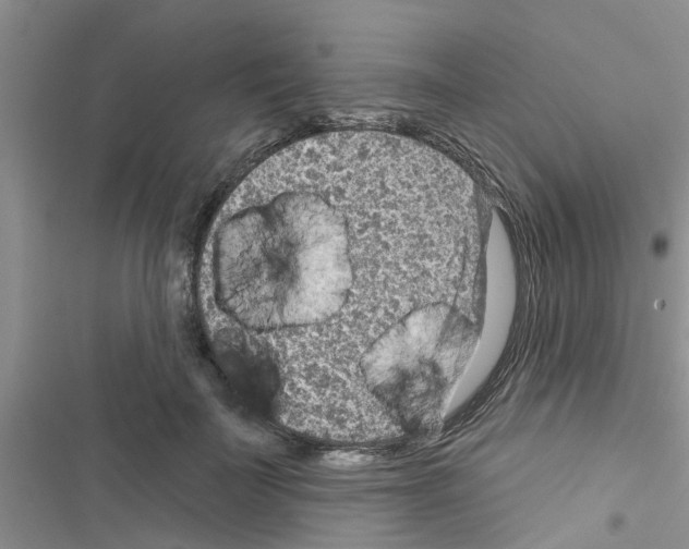 X0000116630699201001221401