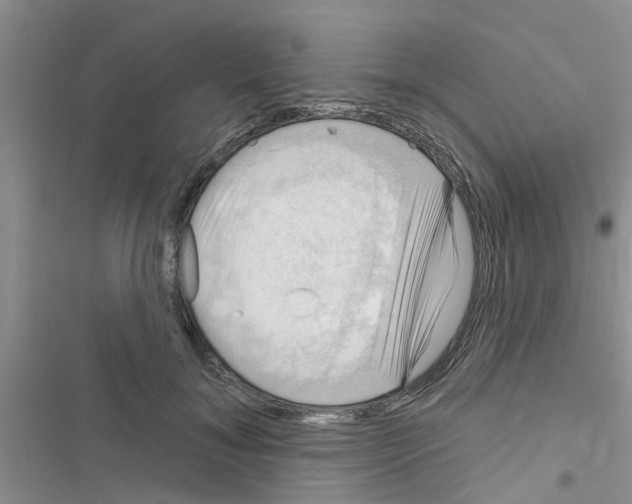 X0000116630700201001221401