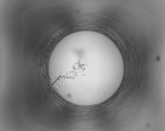 X0000116630701201001221401