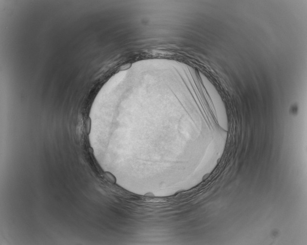 X0000116630704201001221401