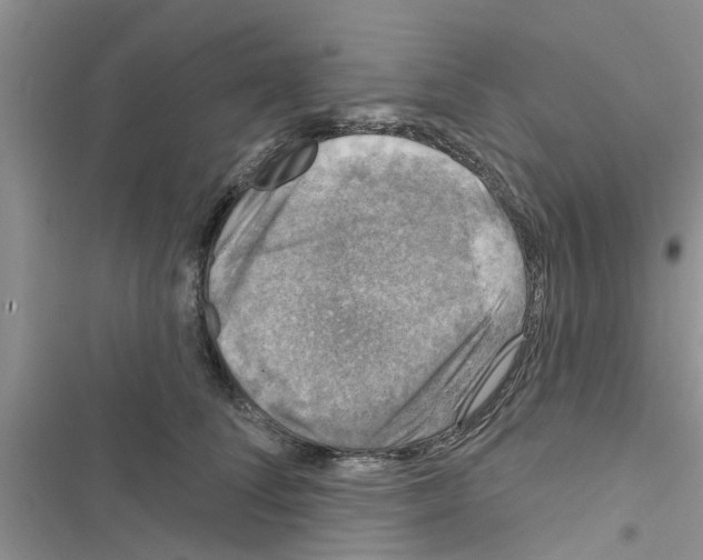 X0000116630708201001221401