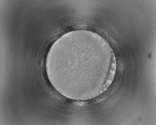 X0000116630711201001221401