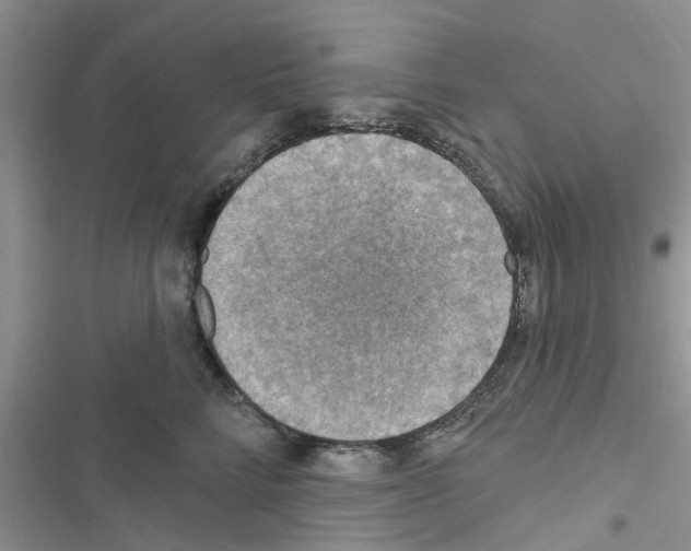 X0000116630712201001221401
