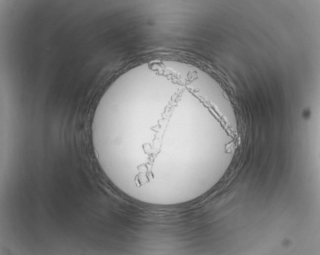 X0000116630713201001221401