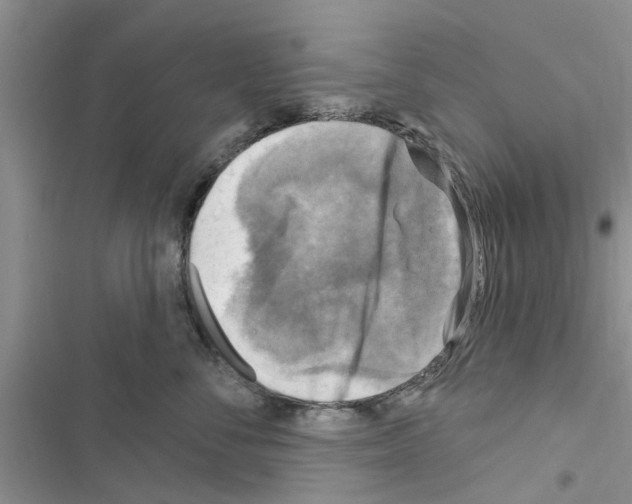 X0000116630716201001221401