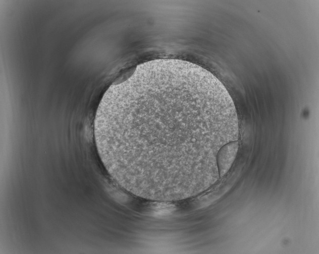 X0000116630719201001221401