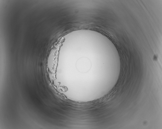X0000116630720201001221400