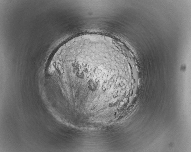 X0000116630721201001221400