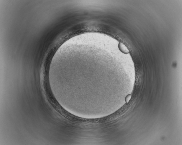 X0000116630722201001221400