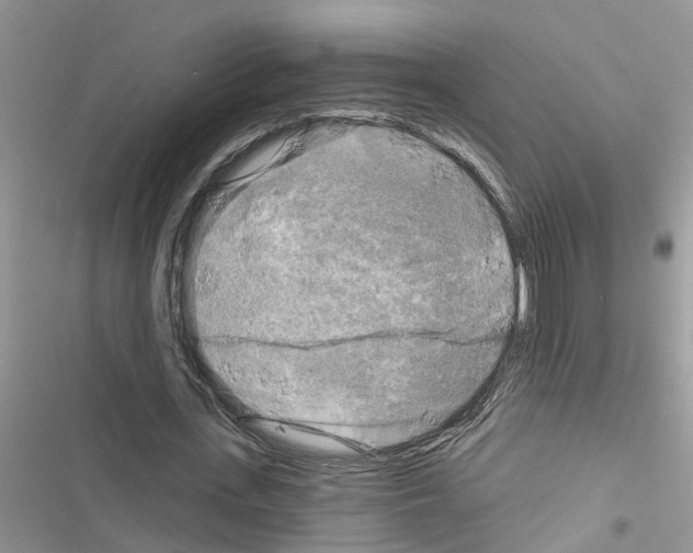 X0000116630723201001221400