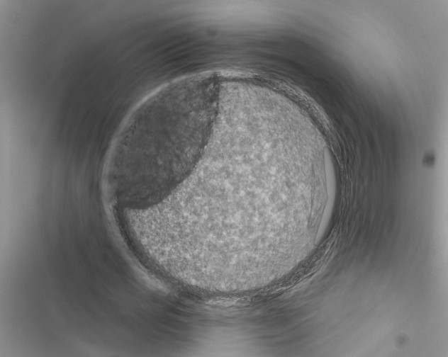 X0000116630725201001221400