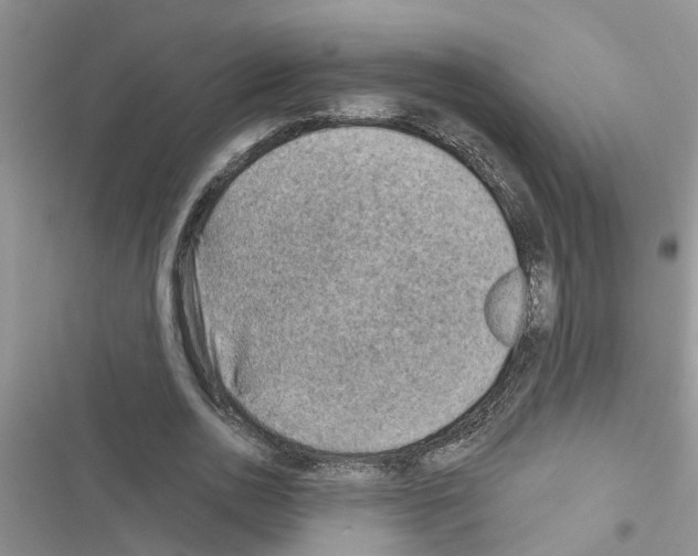 X0000116630726201001221400
