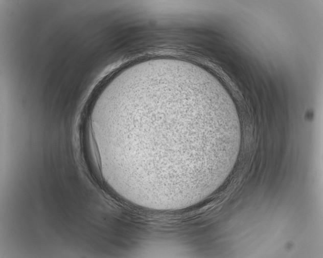 X0000116630727201001221400
