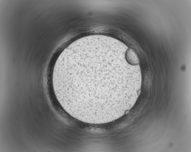 X0000116630730201001221400