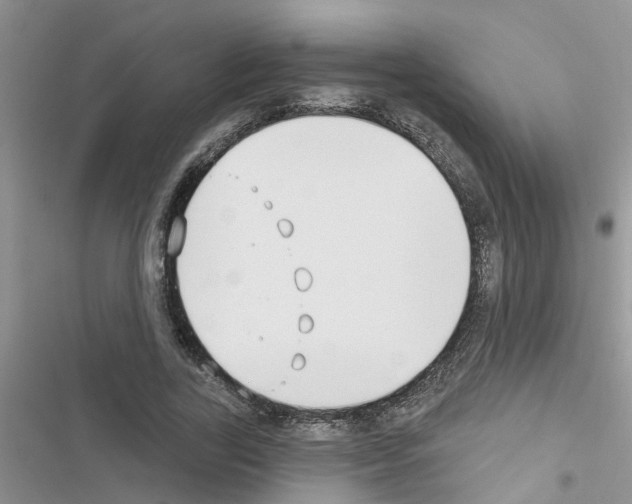 X0000116630731201001221400