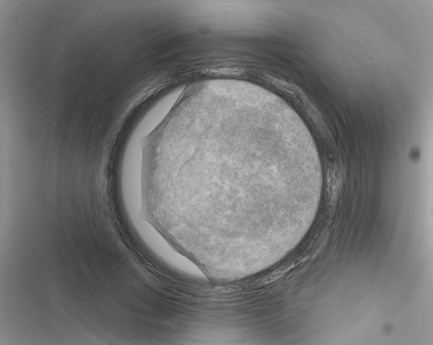 X0000116630735201001221400