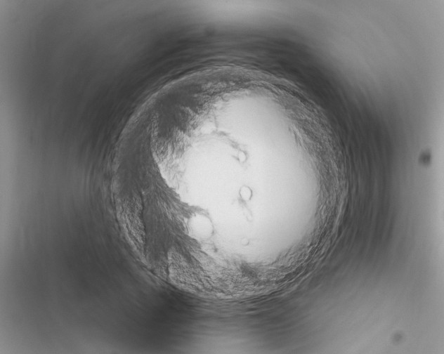 X0000116630737201001221400