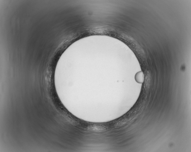 X0000116630739201001221400