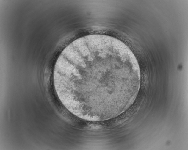 X0000116630742201001221400