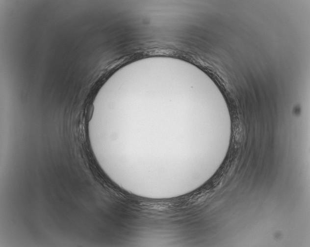 X0000116630743201001221400