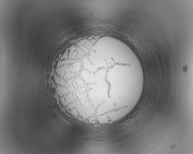 X0000116630745201001221400