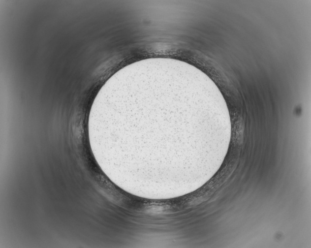 X0000116630746201001221400