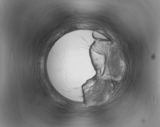 X0000116630749201001221400