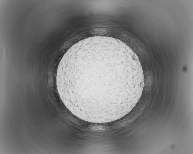 X0000116630751201001221400