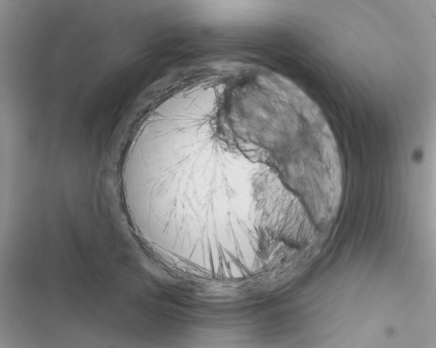 X0000116630753201001221400