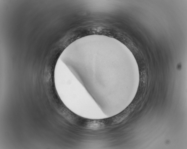 X0000116630754201001221400
